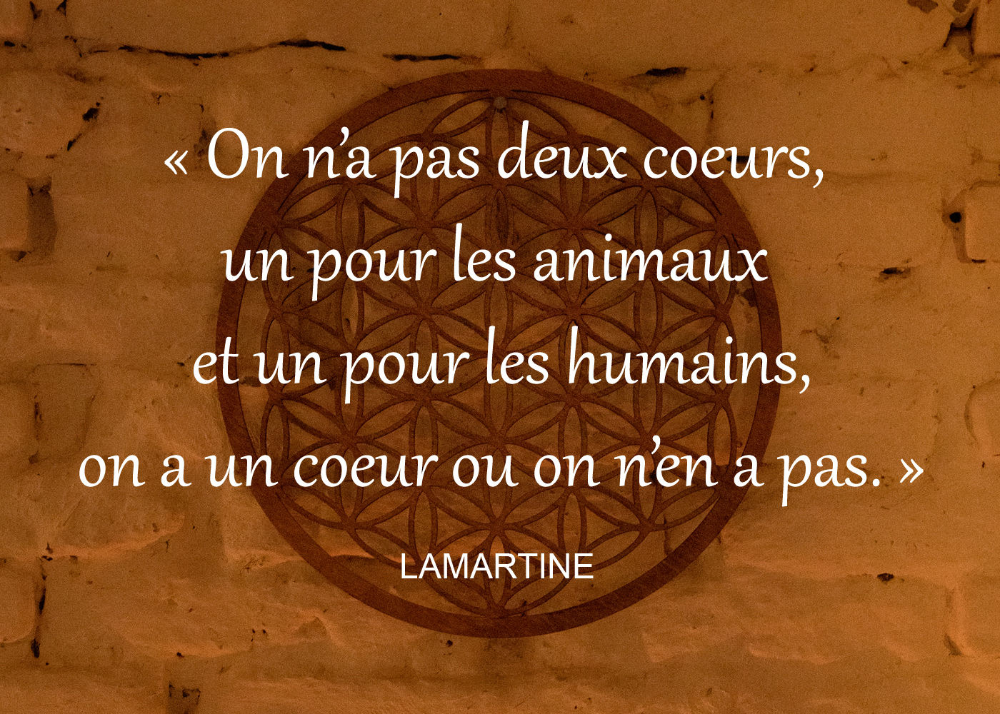 citation on n'a pas 2 cœurs un pour les animaux et un pour les humains